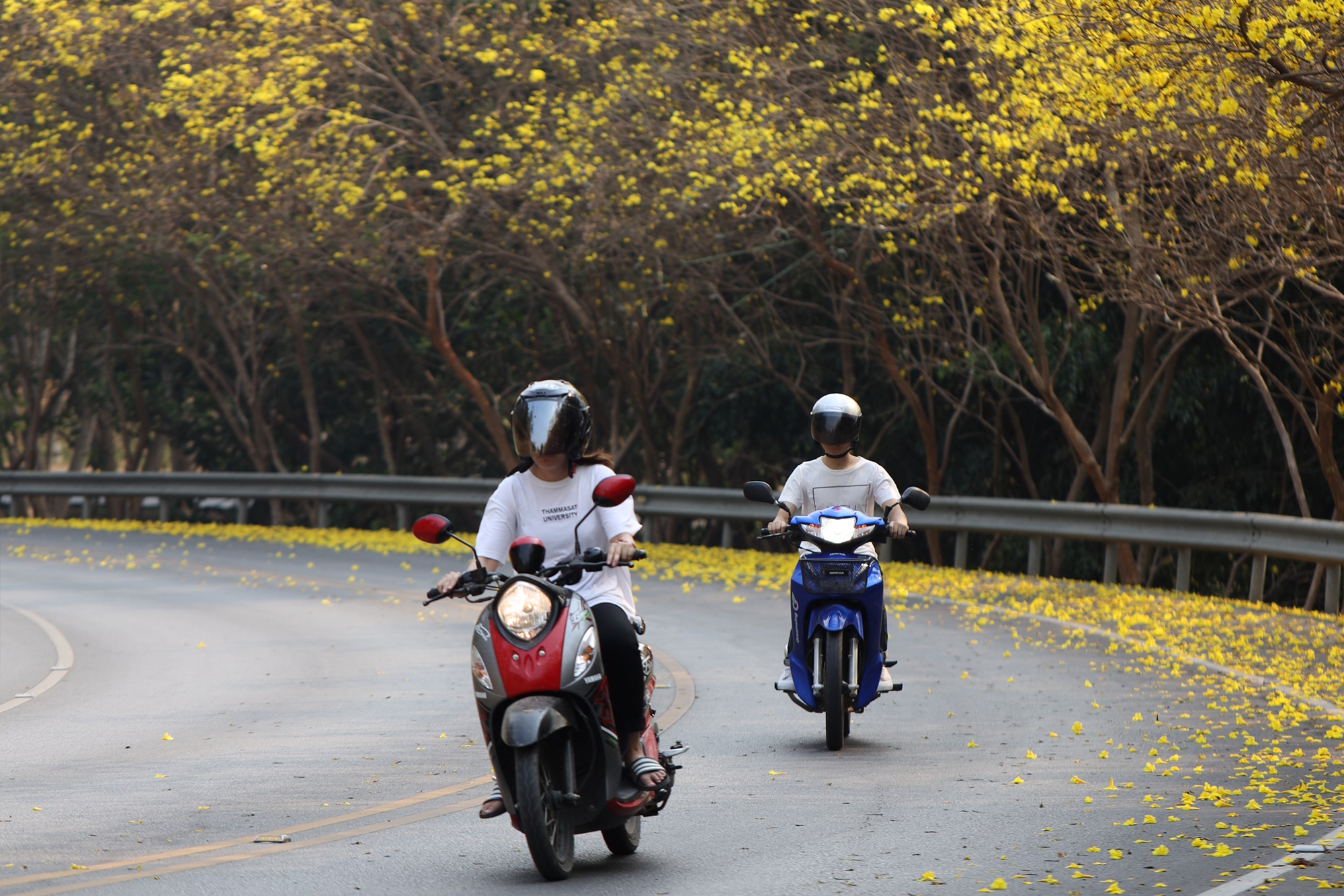 MFU News : MFU_safe_drive_2019__1_.jpg